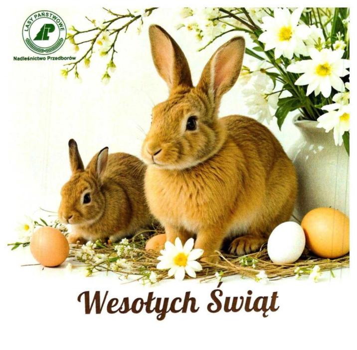 Kartka świąteczna Nadleśnictwa Przedborów